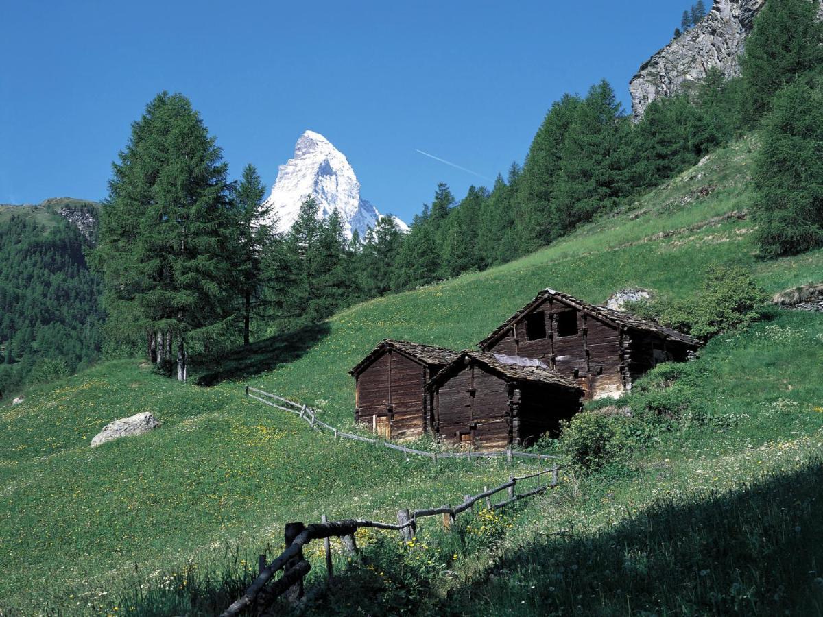 Apartment Bellevue-6 By Interhome Zermatt Eksteriør billede